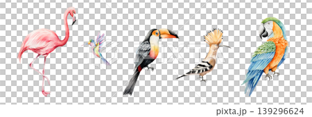 Set of tropical birds. Watercolor hand drawn hummingbird, pink flamingo, parrot macaw, toco toucan, hoopoe. Isolated illustration on transparent background. Perfect for tropical design projects. For 139296624