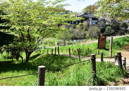 町田薬師池公園四季彩の杜西園散策路と新緑 139296985