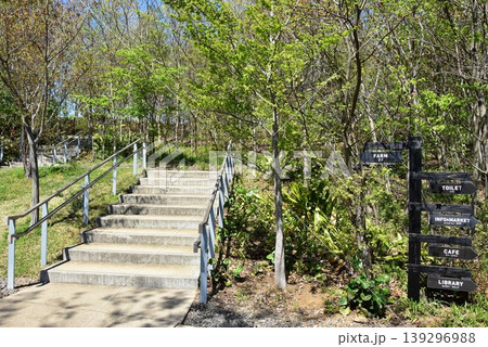 町田薬師池公園四季彩の杜西園(ウェルカムゲート) 芝生広場散策路と道しるべと新緑 町田薬師池公園四季彩の杜西園(ウェルカムゲート) 芝生広場散策路と道しるべと新緑 139296988