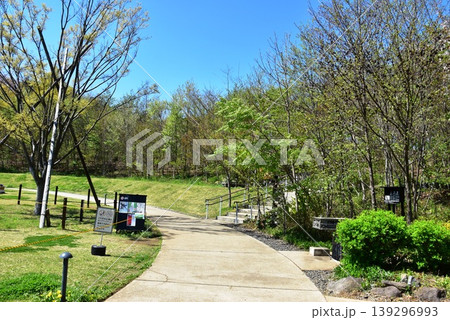 町田薬師池公園四季彩の杜西園(ウェルカムゲート) 芝生広場散策路と新緑 町田薬師池公園四季彩の杜西園(ウェルカムゲート) 芝生広場散策路と新緑 139296993