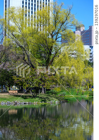 新緑の中島公園_7782 新緑の中島公園_7782 139297016