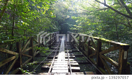 縄文杉トレッキング トロッコ道 屋久島 縄文杉トレッキング トロッコ道 屋久島 139297057