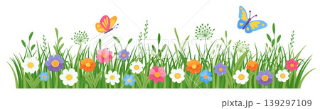 Spring meadow flower and grass. Floral border with grass and hand drawn blooming flowers 139297109