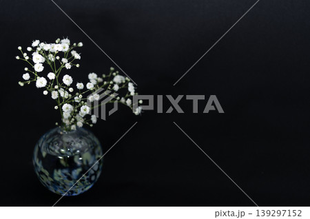 黒背景で寒色ガラス球形一輪挿しに生けたカスミソウ(左配置) 139297152