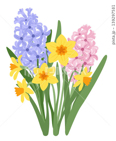 Spring garden flowers, daffodils and hyacinth with green leaves. Spring plants vector illustration Spring garden flowers, daffodils and hyacinth with green leaves. Spring plants vector illustration 139297581