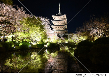 桜咲く京都市東寺 五重塔と瓢箪池の夜景 桜咲く京都市東寺 五重塔と瓢箪池の夜景 139297831
