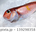 氷の上に置かれた新鮮な高級魚・アマダイ 139298358