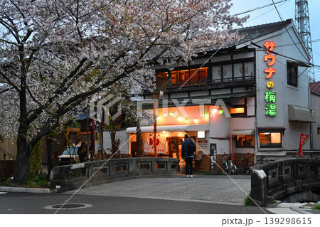 春の夕暮れ 京都市高瀬川 桜咲く上の口橋 春の夕暮れ 京都市高瀬川 桜咲く上の口橋 139298615