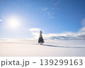 北海道・美瑛の雪原に佇むクリスマスツリーの木 139299163