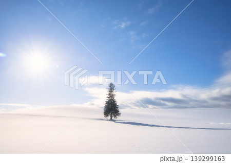 北海道・美瑛の雪原に佇むクリスマスツリーの木 139299163