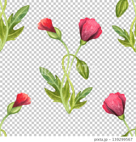 Red poppy buds, watercolor seamless pattern. Hand drawn ornament with bright, fresh plants. Juicy wild flowers for packaging, cosmetics, perfumes, and cards. Red poppy buds, watercolor seamless pattern. Hand drawn ornament with bright, fresh plants. Juicy wild flowers for packaging, cosmetics, perfumes, and cards. 139299567