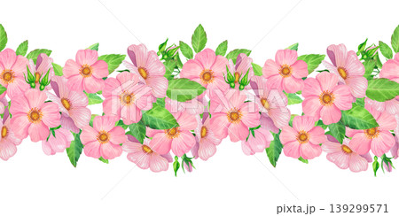 Pink rose hips with green leaves, seamless hand drawn watercolor border. Ornament with delicate fresh plants and lush foliage. Juicy wildflowers for packaging tea, cosmetics, perfumes, and cards. Pink rose hips with green leaves, seamless hand drawn watercolor border. Ornament with delicate fresh plants and lush foliage. Juicy wildflowers for packaging tea, cosmetics, perfumes, and cards. 139299571