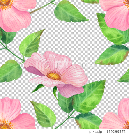 Pink rose hips with green leaves, watercolor seamless pattern. Hand drawn ornament with delicate fresh plants. Juicy wild flowers for packaging, cosmetics, perfumes, and cards. Pink rose hips with green leaves, watercolor seamless pattern. Hand drawn ornament with delicate fresh plants. Juicy wild flowers for packaging, cosmetics, perfumes, and cards. 139299573