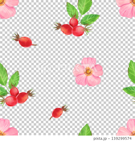 Pink rose hips with green leaves and red berries, a watercolor seamless pattern. Hand drawn ornament with delicate fresh plants. Juicy wild flowers for packaging, cosmetics, perfumes, and cards. 139299574