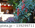 神社の境内で赤い実をつけた南天 139299711
