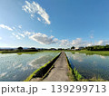 どこまでも続く青 139299713