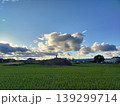 夏の夕暮れ時の田んぼと雲のある風景 139299714