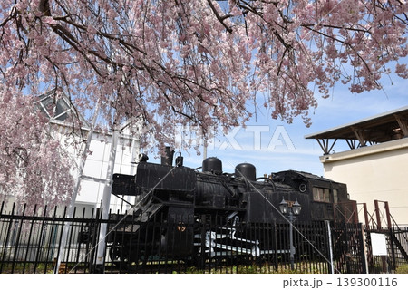 会津田島駅前しだれ桜 会津田島駅前しだれ桜 139300116