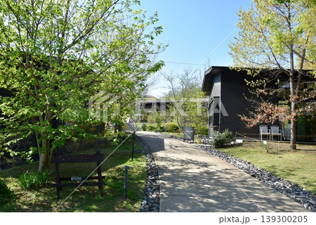 町田薬師池公園四季彩の杜西園(ウェルカムゲート)の散策路と新緑 町田薬師池公園四季彩の杜西園(ウェルカムゲート)の散策路と新緑 139300205