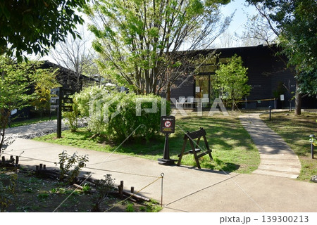 町田薬師池公園四季彩の杜西園（ウェルカムゲート）の散策路と新緑 139300213