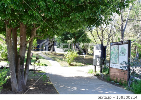 町田薬師池公園四季彩の杜西園（ウェルカムゲート）の案内板と散策路と新緑 139300214