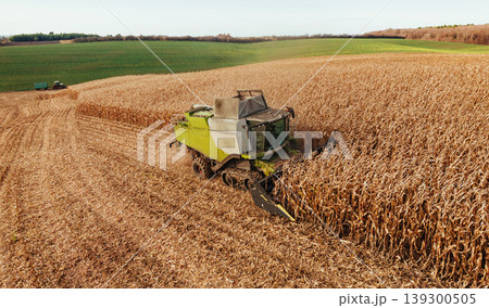 Going by the line in the row. Agricultural harvest with combine machines working in a corn field, aerial view Going by the line in the row. Agricultural harvest with combine machines working in a corn field, aerial view 139300505