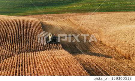 Single one vehicle only. Agricultural harvest with combine machines working in a corn field, aerial view 139300518