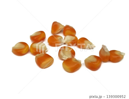 Corn seeds isolated on white background 139300952