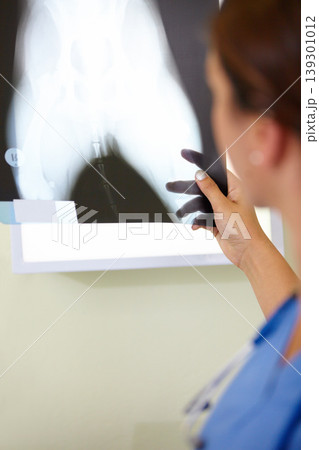 Woman, veterinarian and doctor with xray of animal for examination, tests or diagnosis on injury at vet. Female person, nurse or medical pet professional looking at CT scan or MRI for clinic checkup Woman, veterinarian and doctor with xray of animal for examination, tests or diagnosis on injury at vet. Female person, nurse or medical pet professional looking at CT scan or MRI for clinic checkup 139301012