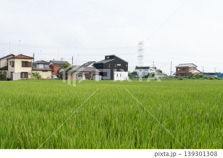 田園風景と共存する日本の新しい住宅街の風景 139301308