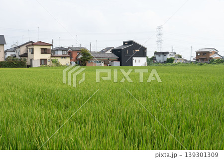 田園風景と共存する日本の新しい住宅街の風景 139301309