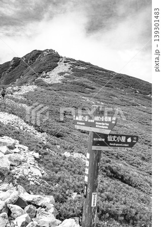 長野県の南アルプス仙丈ヶ岳登山道から仙丈小屋への分岐点(新聞、雑誌用) 長野県の南アルプス仙丈ヶ岳登山道から仙丈小屋への分岐点(新聞、雑誌用) 139301483