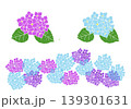 紫陽花（あじさい）のイラストセット 139301631