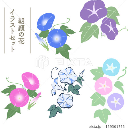 朝顔のフラットベクターイラストセット|夏の和風花素材・シンプルで使いやすいコレクション 朝顔のフラットベクターイラストセット|夏の和風花素材・シンプルで使いやすいコレクション 139301753