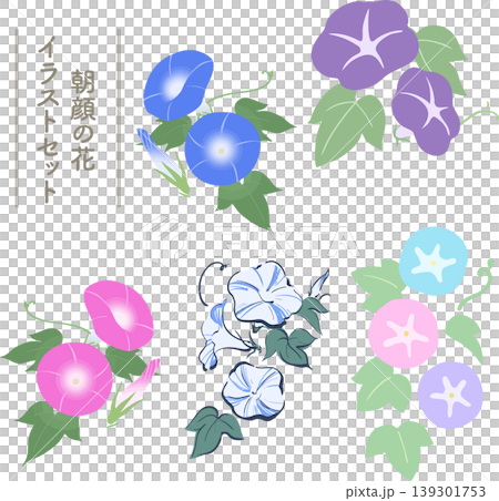 Morning glory flat vector illustration set | Summer Japanese flower material - simple and easy-to-use collection Morning glory flat vector illustration set | Summer Japanese flower material - simple and easy-to-use collection 139301753