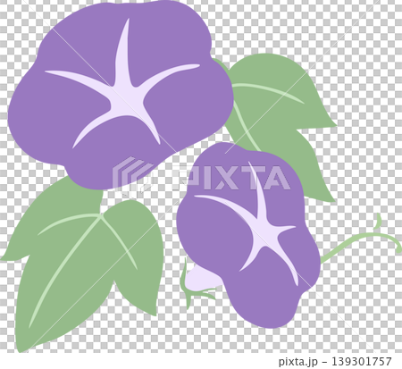 Morning glory vector illustration | Summer Japanese-style flower material - simple and easy-to-use design 139301757