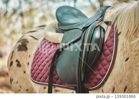 Horse, leather saddle or animal in nature for equestrian game park, riding or countryside. Stallion, strength or colt dressage on appaloosa thoroughbred, rodeo ranch and relax in distance trail walk Horse, leather saddle or animal in nature for equestrian game park, riding or countryside. Stallion, strength or colt dressage on appaloosa thoroughbred, rodeo ranch and relax in distance trail walk 139301868