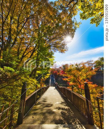 昇仙峡・水月橋と紅葉の風景 秋の光溢れる渓谷の散策路 昇仙峡・水月橋と紅葉の風景 秋の光溢れる渓谷の散策路 139301909