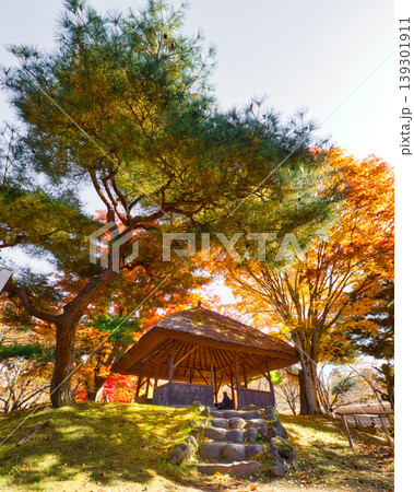 紅葉と松の木に囲まれた茅葺き屋根の東屋 紅葉と松の木に囲まれた茅葺き屋根の東屋 139301911