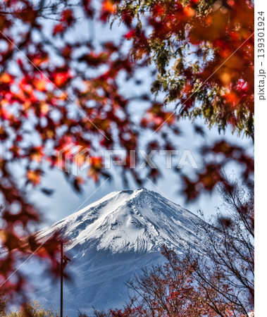 紅葉の隙間から望む冠雪の富士山 河口湖の秋景色 紅葉の隙間から望む冠雪の富士山 河口湖の秋景色 139301924