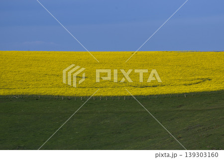 Blue, yellow and green landscape 139303160