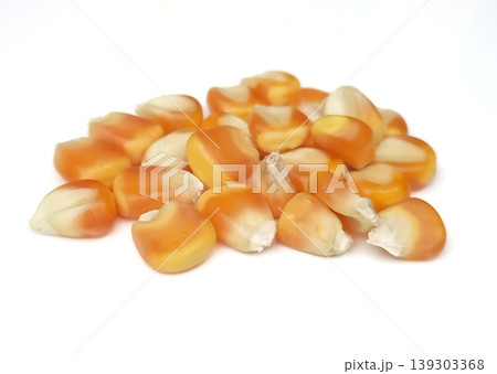 Corn seeds isolated on white background Corn seeds isolated on white background 139303368