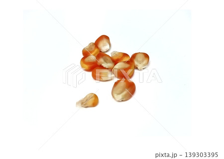 Corn seeds isolated on white background Corn seeds isolated on white background 139303395