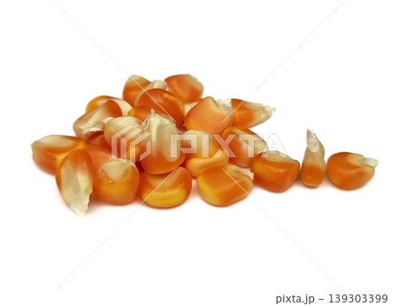 Corn seeds isolated on white background 139303399
