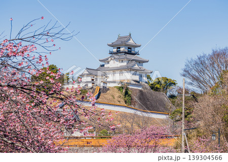 掛川市の掛川城と川沿いに咲く掛川桜の風景(静岡県) 掛川市の掛川城と川沿いに咲く掛川桜の風景(静岡県) 139304566