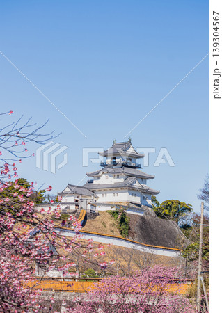 掛川市の掛川城と川沿いに咲く掛川桜の風景(静岡県) 139304567