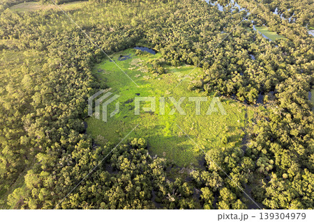 Florida wetlands with water between green wild vegetation. Tropical ecosystem at sunset Florida wetlands with water between green wild vegetation. Tropical ecosystem at sunset 139304979