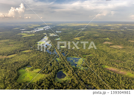 Florida wetlands with water between green wild vegetation. Tropical ecosystem at sunset Florida wetlands with water between green wild vegetation. Tropical ecosystem at sunset 139304981