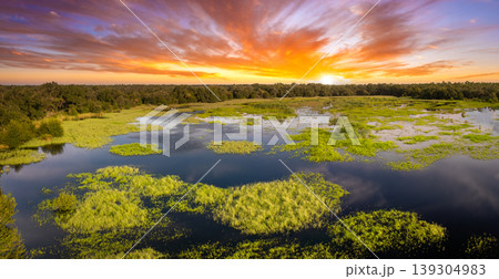 Florida wetlands with water between green wild vegetation. Tropical ecosystem at sunset Florida wetlands with water between green wild vegetation. Tropical ecosystem at sunset 139304983
