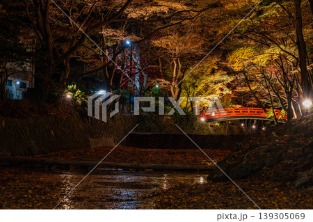 森町の遠江国一宮小國神社の紅葉の風景(静岡県) 森町の遠江国一宮小國神社の紅葉の風景(静岡県) 139305069